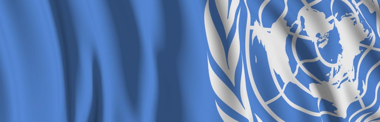 UN International Day to Combat Islamophobia 